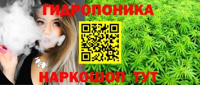 мяу мяу мука Партизанск