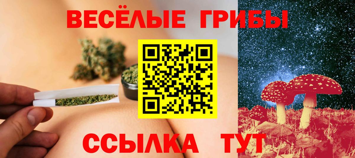 Тавда  Галлюциногенные грибы Psilocybine cubensis  Вход с VPN 